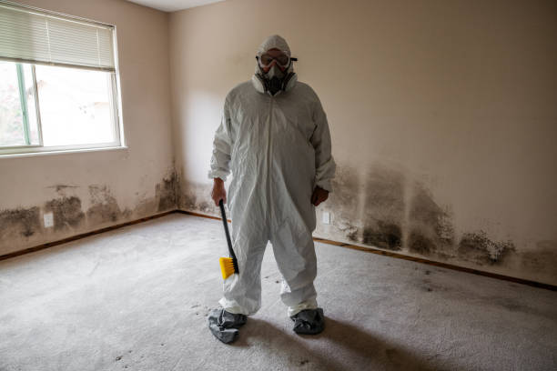 Best Industrial Mold Remediation in Pantego, TX